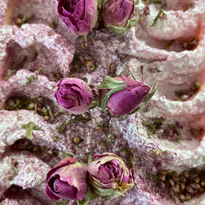 Pomegranate Noir Soap